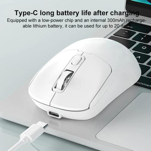 EDA008383401_B3.jpg@87ed069638b4a031e93ee047e9f820d0