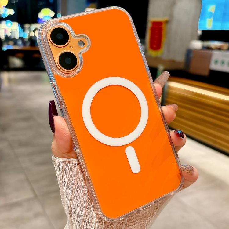 EDA008718403A.jpg@ae3e2940046fb2fb66dc6598b3cbd3fa