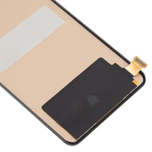 RPS0606_4.jpg@3444d6190531ba0e7a11ea5dc1721e39