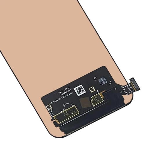 RPS0765B_4.jpg@2b31ad9035801949307c2d9e41d80523