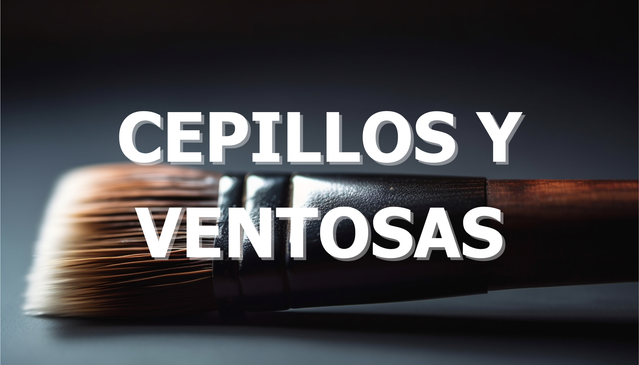 Cepillos y Ventosas