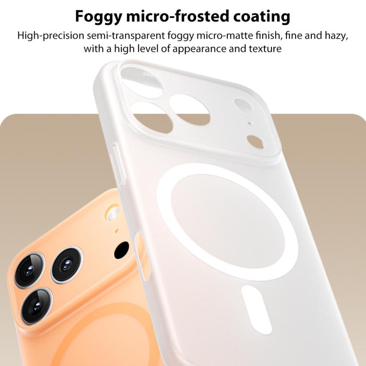 EDA008610701B_9.jpg@edc3eaaab143a81c06a59b50898cf1d0