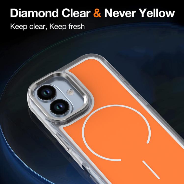 EDA008776003F_5.jpg@70bfcc6878bcb05e0e810c9c0b908537