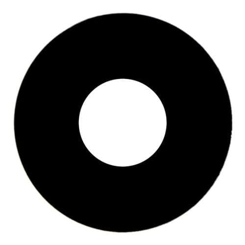 Obiettivo Fotocamera Posteriore Apple iPad Mini 6 (2021)