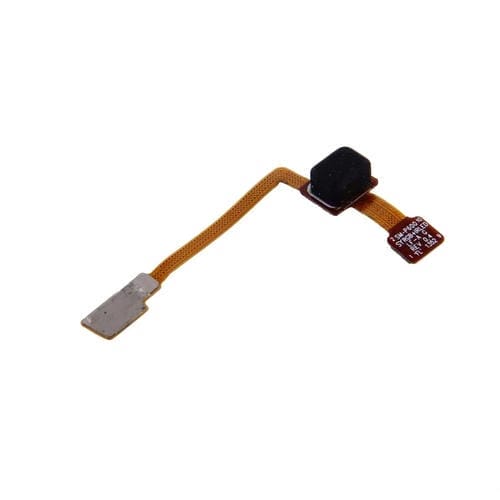 Cable Flex con Sensor de Luz para Samsung Galaxy Note 10.1 P600 (Edición 2014)