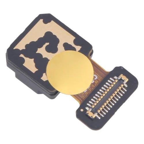 Cámara Trasera Ancha para Realme 10 Pro+ Original