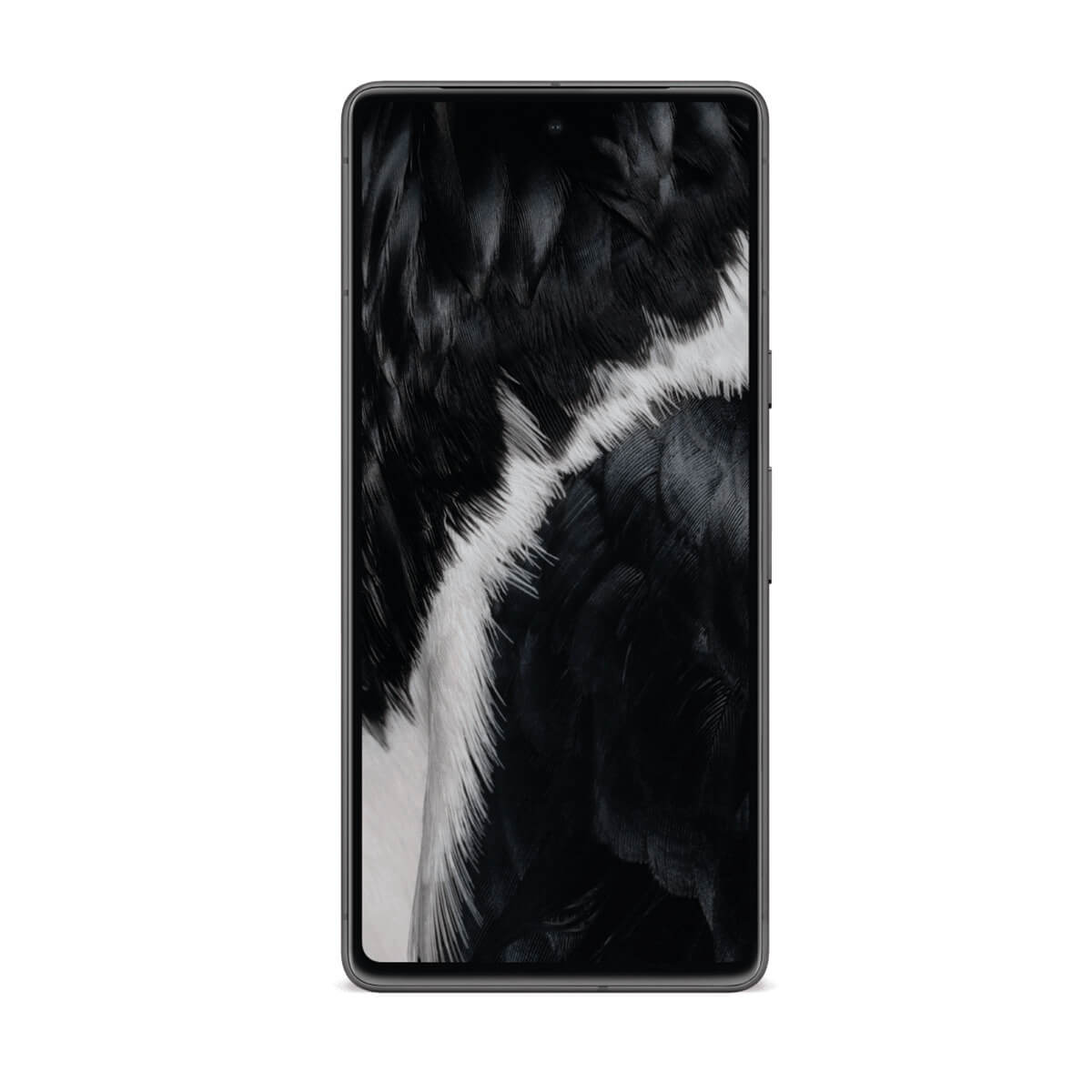 Google Pixel 7 5G 8 Go/256 Go Noir (Noir obsidienne) Double SIM GVU6C