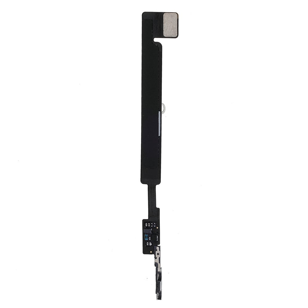 Flex Cable Antenna Apple iPhone 12 Mini