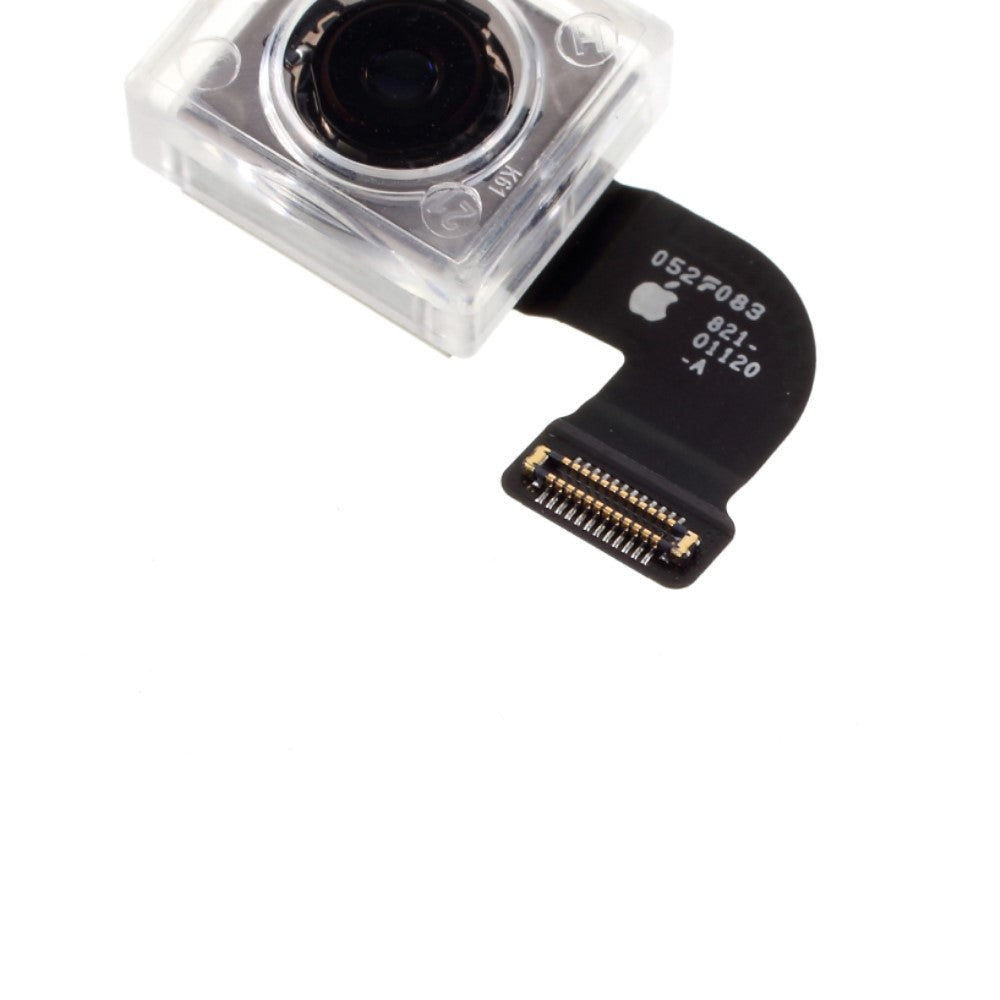 Caméra arrière principale Flex Apple iPhone SE (2e génération)