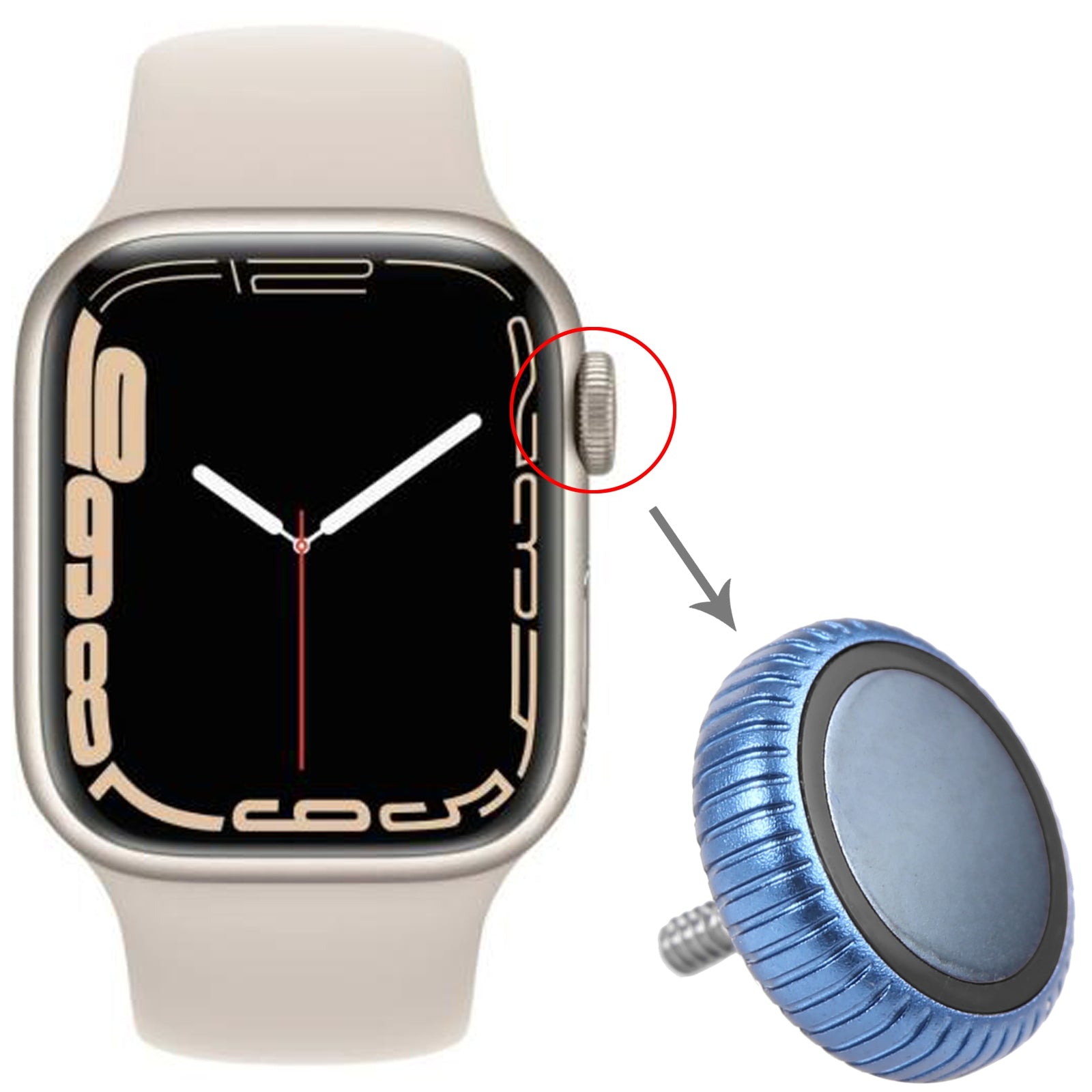 Couronne Écrou Apple Watch Series 7 (GPS) Bleu