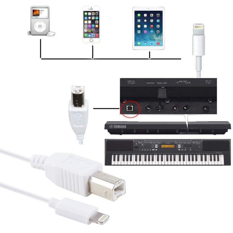 Adaptador de Cable MIDI de Cable de piano electrónico / piano Macho de 1 m de 8 Pines a Tipo B para iPhone X iPhone 8 Plus y 7 Plus iPhone 8 y 7 iPhone 6 Plus y 6s Plus iPhone 6 y 6s iPad compatible con el sistema iOS 11.4 (Blanco)