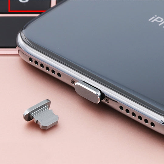 Prise anti-poussière universelle en métal avec port de charge à 8 broches pour iPhone (gris)