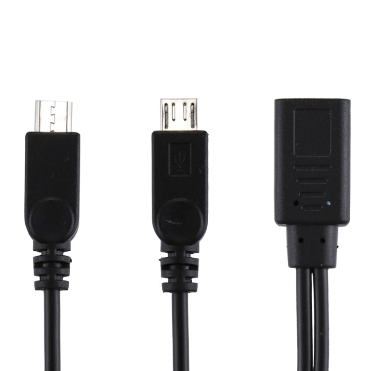 Câble adaptateur USB-C / TYPE-C femelle vers 2 x micro USB mâle et longueur totale du cordon : environ 30 cm