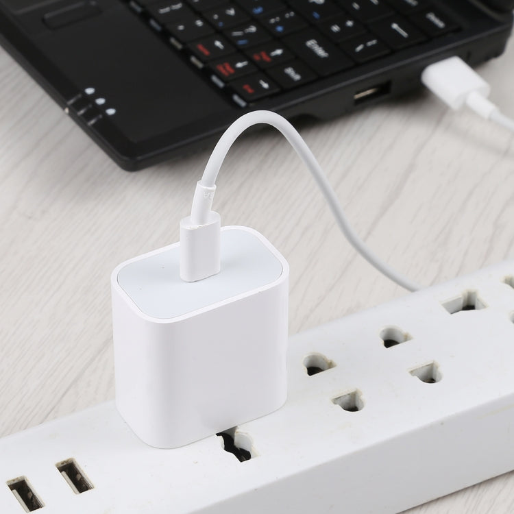 PD Fast Charger Power Adapter Type C / USB-C US Plug (White)