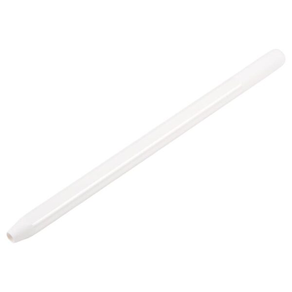 Carcasa Tapa para Apple Pencil Pro (Blanco)