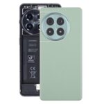 Tapa Trasera Batería para OnePlus Ace 3 Pro (Verde)
