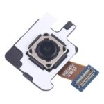Cámara Trasera para Samsung Galaxy Tab S9 FE+ 5G SM-X616 / X610 - Imagen 2