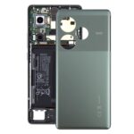 Tapa Trasera para Realme GT 6 Global