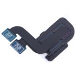 Cámara Trasera para Samsung Galaxy Tab S8 Ultra SM-X900 - Imagen 3