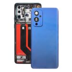 Tapa Trasera de Batería para OnePlus 9 (Azul) Original