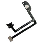 Cable Flex Linterna para OnePlus Nord - Imagen 2